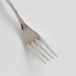 Alessi Caccia Tafelvork 4 Prongs, Set van 6