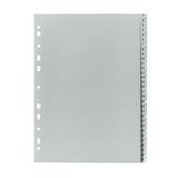 Herlitz 10843712 indextab Grijs