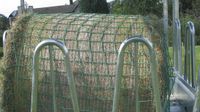 Kerbl Voerbesparend net 2.8 x 2.8m, maaswijdte 4.5cm