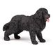 Papo - Realistische newfoundlanderfiguur - Honden en katten collectie