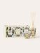 Baobab Coffret cadeau Tomorrowland
