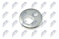 NTY Nachlaufschale, Achskörper ZWT-CH-056P