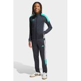 adidas Performance junior trainingspak Tiro26 - grijs/turquoise