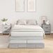 Maison Exclusive Cadre de lit avec rangement et tiroir, finition Sonoma grise, 120 cm