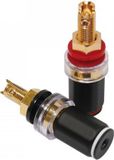 Dynavox Carbon banaanstekker female set - Verguld - Rood/Zwart