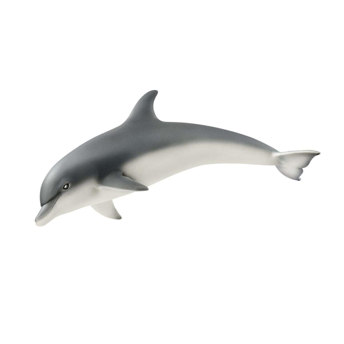 Schleich WILD LIFE Dolfijn - Speelgoedfiguur - Dolfijn - 3+ jaar