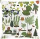 Arvidssons Textil Housse de coussin 47x47 cm - Coton avec imprimé animaux de la forêt