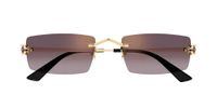 Cartier Ct0598s Lunettes de soleil unisexe doré rectangulaires violet 55mm