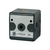 Riegler V 34/1 terugslagklep »multifix«, BG 3, G 3/4