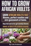 How African Violets How to Grow African Violets