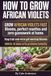 How African Violets How to Grow African Violets