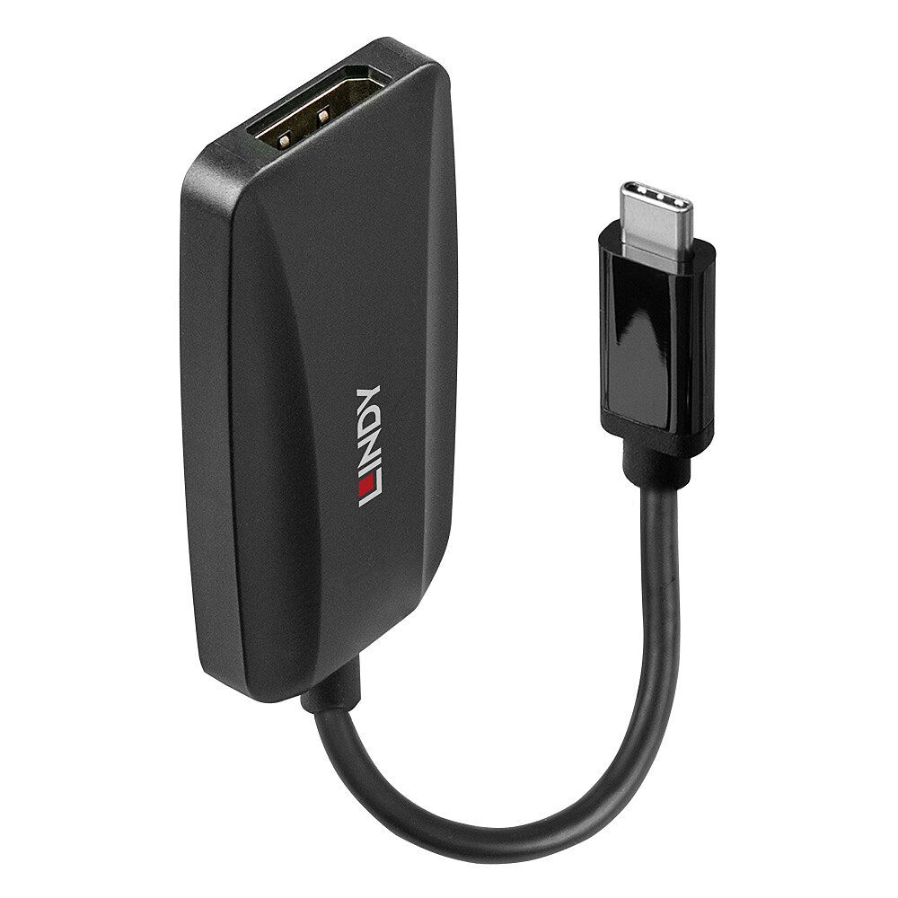 Lindy USB-C naar DisplayPort Adapter - 0.13m - Zwart