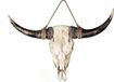 Gilde Skull Buffel Schedel Wanddecoratie - Polyresin - Wit/Beige/Bruin - 24 cm