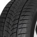 Tristar Snowpower UHP 205/55 R16 91H