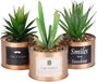 Unyqoos Set van 3 Moderne Kunstplanten in Decoratieve Potten