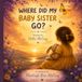 Where Did My Baby Sister Go?