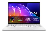 ASUS ProArt / P14 / H7407BA-SM078X