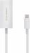 Ugreen USB-C naar DisplayPort Converter Wit