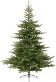 Everlands Grandis Fir kunstkerstboom 240 cm