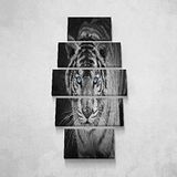 Homemania Feline-5 dieren, voor woonkamer, meerkleurig, 100 x 3 x 60 cm, HM205PKNV-169, polyester, hout