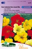 Merkloos / Sans marque Sluis Garden Oost-Indische Kers Jewel Mix, lage dubbelbloemig