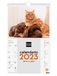 Finocam - Kalender 2023 spiraal wandafbeeldingen om te schrijven januari 2023 - december 2023 (12 maanden) honden en katten Spaans