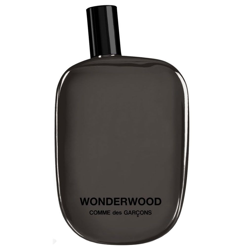 Comme des Garcons Eau de Parfum / 100 ml / Heren