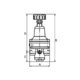 Riegler Precisiedrukregelaar zonder eigen luchtverbruik, zonder manometer, G 1/4, regelbereik 0-1 bar, ingangsdruk max. 16 bar.