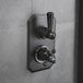 Hudson Reed Elizabeth Klassieke Douchekraan Thermostatisch Inbouw 2-Weg met Omstel - Noir