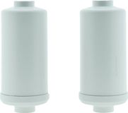 AllSpares Fluoride en Arsenicum Waterfilter (2St.) voor Zwaartekrachtfiltersyteem geschikt voor Berkey®