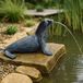 Fontaine solaire - Phoque - 30 x 23 x 20 cm - Étang de jardin - Aspect bronze