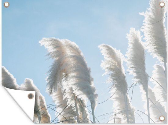 GreatGardenPosters Tuinposter Pampas Pluimen Blauw Wit 40x30 cm - Bannerdoek - Tuinmuur Decoratie