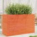 Maison Exclusive - Pot de fleurs pour le jardin, brun foncé, 110x40x68,5 cm, pin massif