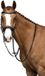 HKM Hoofdstel -Anatomic- met afneembare sperriem maat Pony zwart