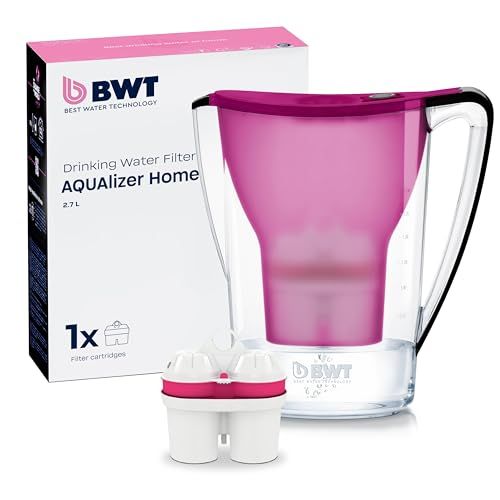 BWT AQUAlizer Home Waterfilter met 1 aubergine filterpatroon 2,7 liter