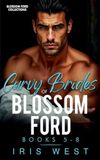 Curvy Blossom Ford Bundels - Curvy Brides Of Blossom Ford Books 5-8 (Nederlands)