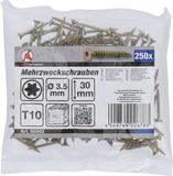 BGS Do it yourself BGS Multischroeven Torx T10 3,5 x 30 mm 250 stuks