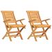 VidaXL Tuinstoel Terras Teak 2 stuks