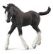 Collecta Shire Horse Foal Noir 10.5x3x9.5cm