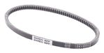JAPANPARTS JPDT-13X655LA Cinghia Servizi