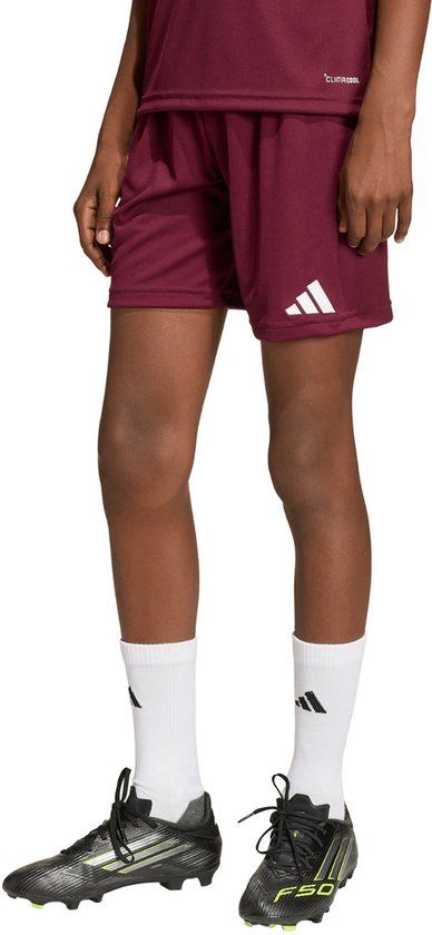 Adidas Entrada 26 Korte Broek Rood 5-6 Years Kinderen