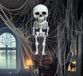 FIESTAS GUIRCA | Hanger skelethoofd (15 cm) – Halloween-decoratie voor feestjes en feesten – ideaal voor griezelige omgevingen en skeletthema's – wit