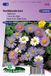 Merkloos / Sans marque Sluis Garden Alpenaster (Aster alpinus)