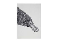 Maxwell & Williams Marini Ferlazzo Theedoek met Vogelbekdier, 100% Katoenen Keukendoek, Wit, 50 x 70 Centimeter