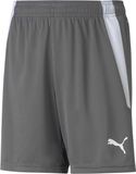 PUMA Unisex baby shorts Teamliga Shorts Jr