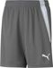 PUMA Unisex baby shorts Teamliga Shorts Jr