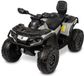 TOYZ CAN-AM 24 V voiture électrique gris