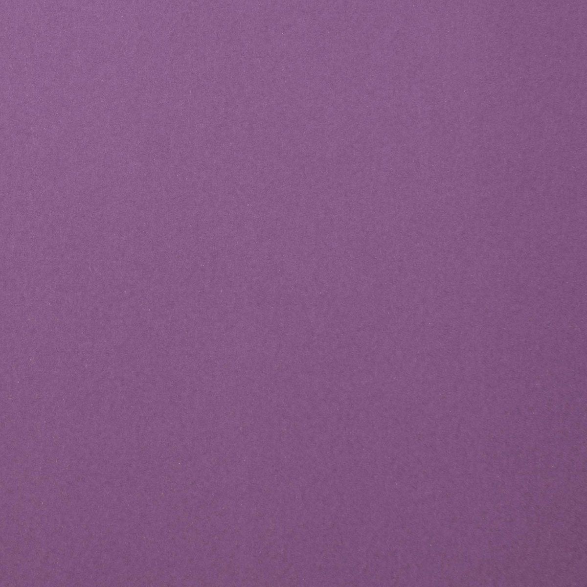 Florence Cardstock Papier Glad 30,5x30,5cm Clematis - 8716052220472