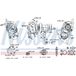 Nissens Turbocompresseur, Suralimentation 93559 Citroën 1631887280 3553970