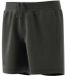 Adidas Club Short Gris 9-10 Ans Garçon